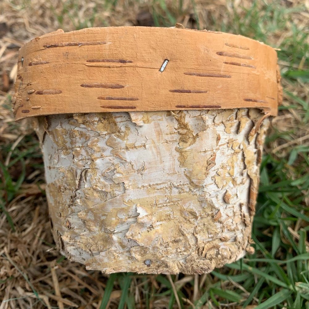 White Birch Wood Pot